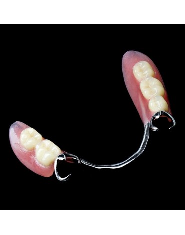 Partial prosthesis (partial false teeth)