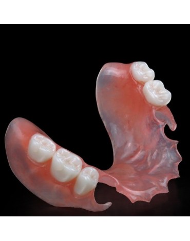 Removable partial prosthesis acrylic