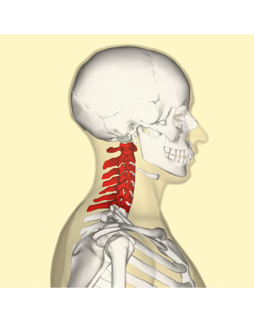 Cervical spine surgery