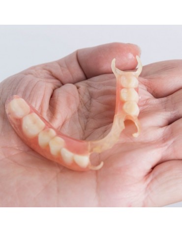 Partial prosthesis (partial false teeth)