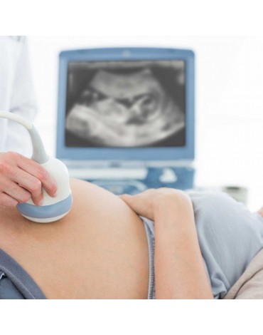2D Pregnancy ultrasound (engraving)