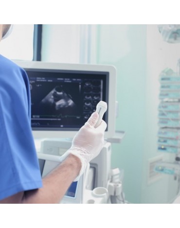 Testicular or scrotum ultrasound