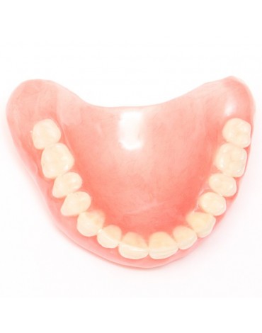 Removable dental prosthesis