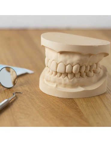 Modelos de estudio   (replica de la estructura dental)