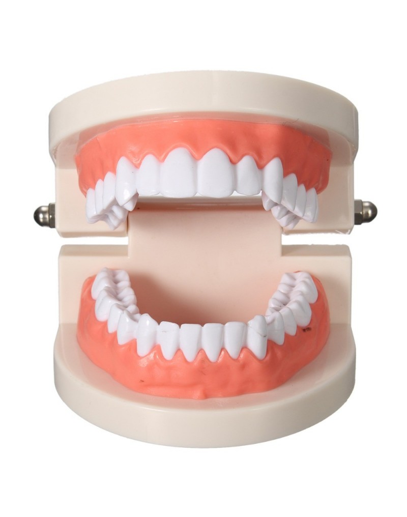 Prótesis total removible acrílico (dientes postizos totales