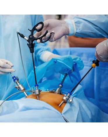 Cirugía etapificadora para el cáncer de endometrio por vía laparoscopica