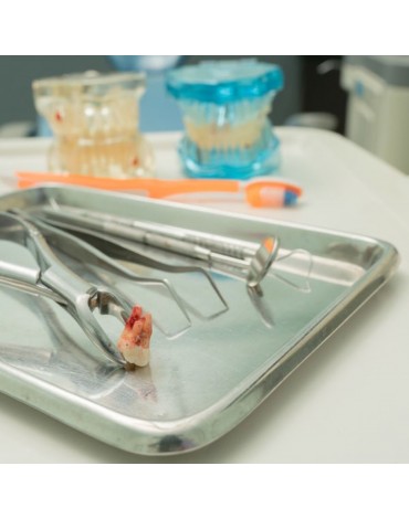 Exodontics (tooth extraction)