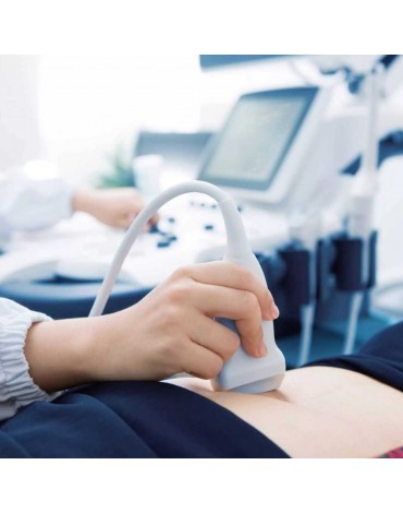 Gynecological and obstetric ultrasound