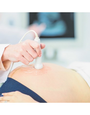 Growth ultrasound with fetal doppler (hemodynamics)